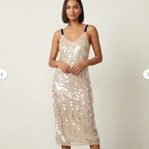 NWT Zara Evening Wear Nude Sequin Dress Size Small
